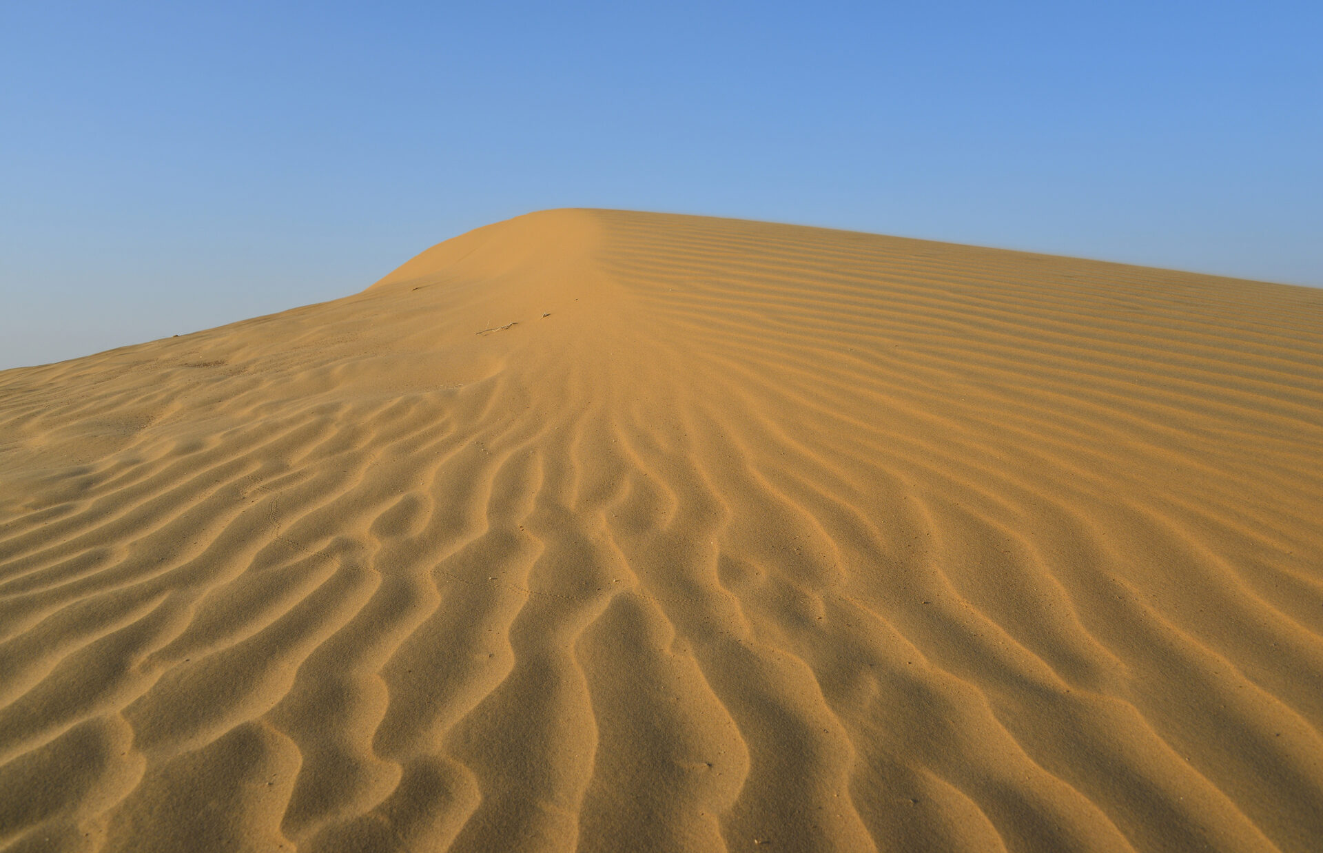 A Night Camping Under Thar Desert Stars